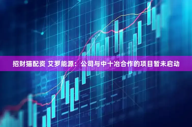 招财猫配资 艾罗能源：公司与中十冶合作的项目暂未启动