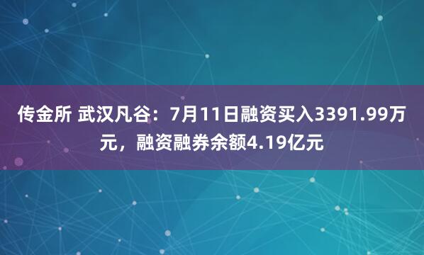 传金所 武汉凡谷：7月11日融资买入3391.99万元，融资融券余额4.19亿元