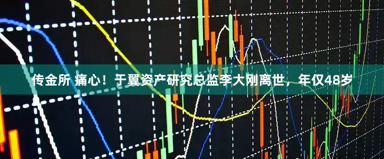 传金所 痛心！于翼资产研究总监李大刚离世，年仅48岁