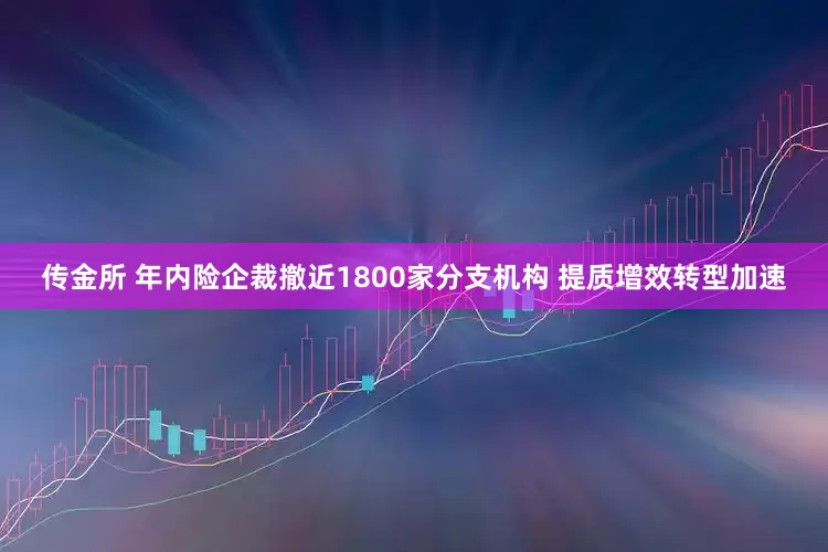 传金所 年内险企裁撤近1800家分支机构 提质增效转型加速