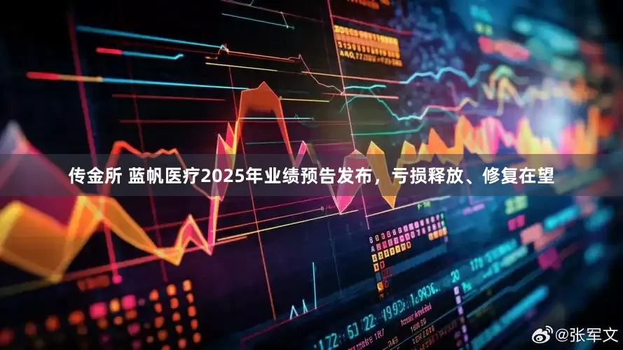 传金所 蓝帆医疗2025年业绩预告发布，亏损释放、修复在望