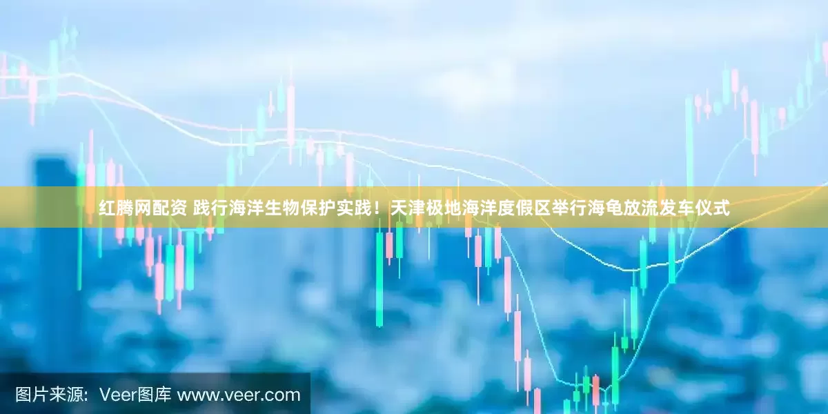 红腾网配资 践行海洋生物保护实践！天津极地海洋度假区举行海龟放流发车仪式